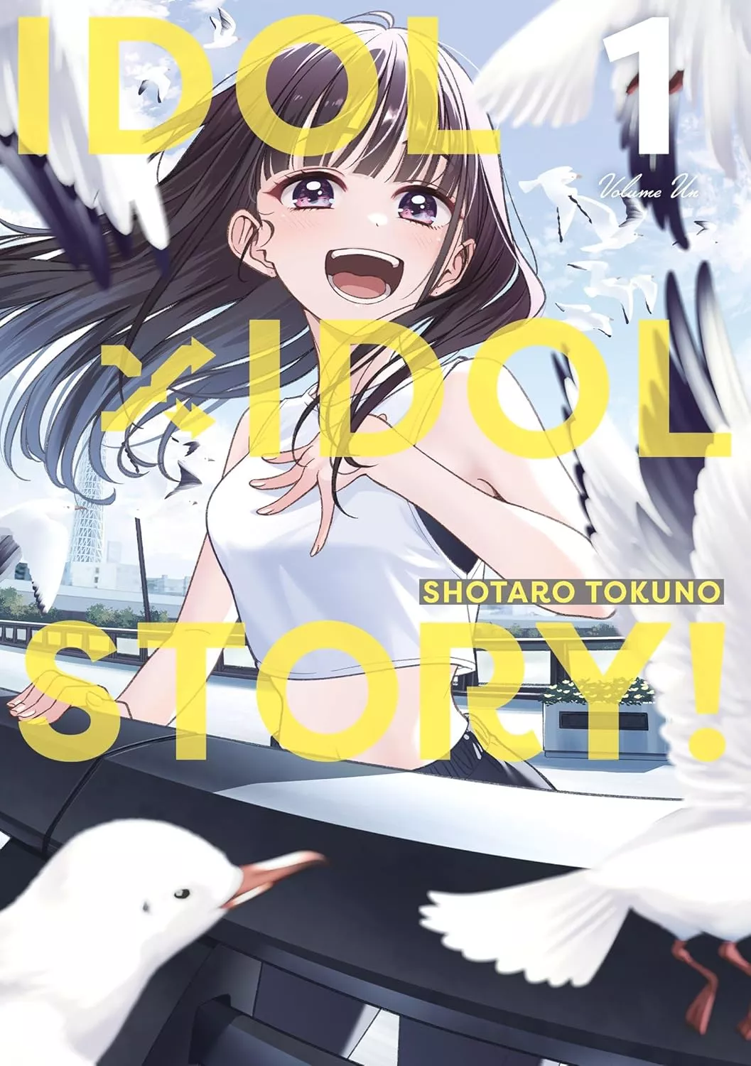 IDOLxIDOL STORY!