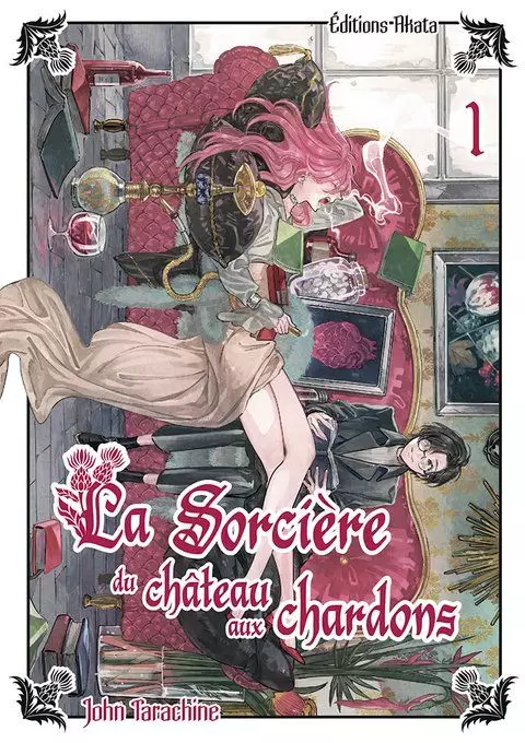 Sorcière du château aux chardons (la)